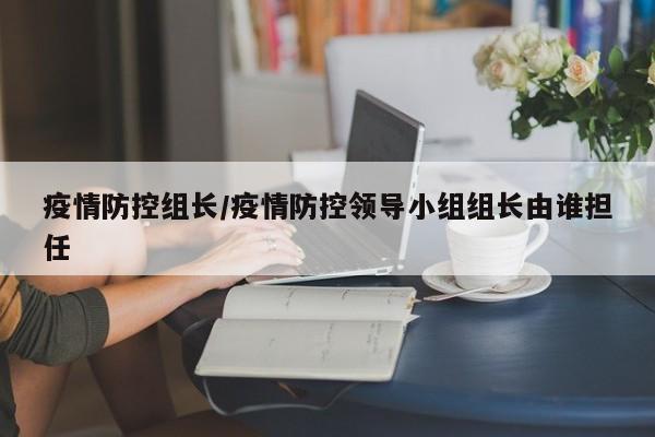 疫情防控组长/疫情防控领导小组组长由谁担任