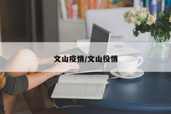 文山疫情/文山役情