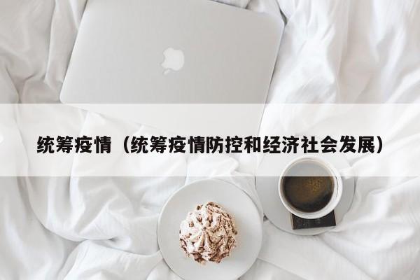 统筹疫情（统筹疫情防控和经济社会发展）