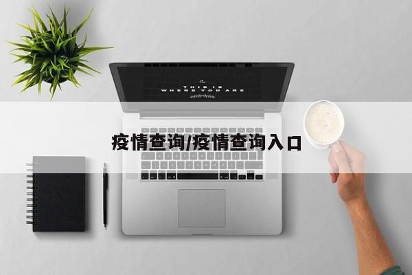 疫情查询/疫情查询入口